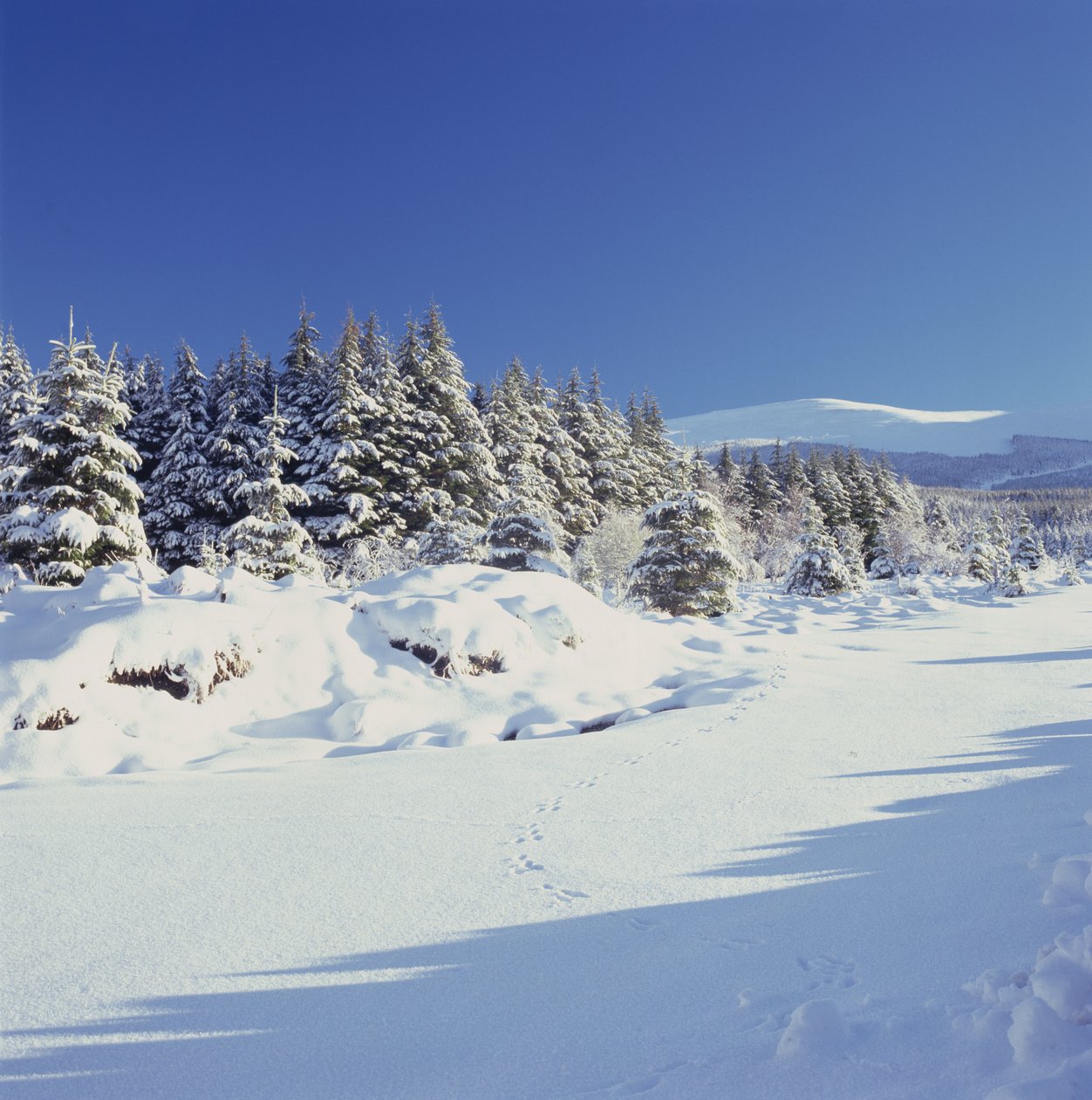 The Wicklow Mountains in Winter by Unbekannt Unbekannt