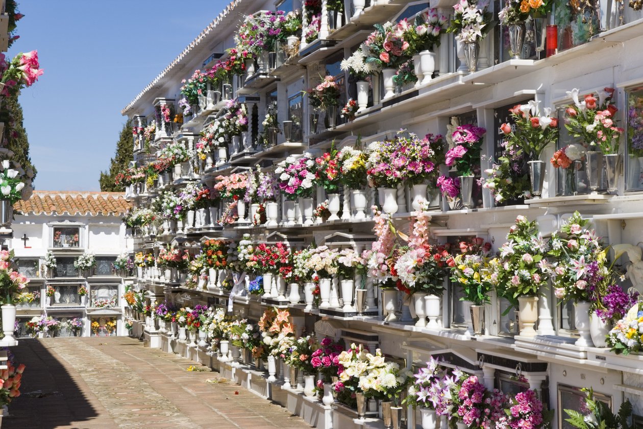 View of the Cemetery by Unbekannt Unbekannt