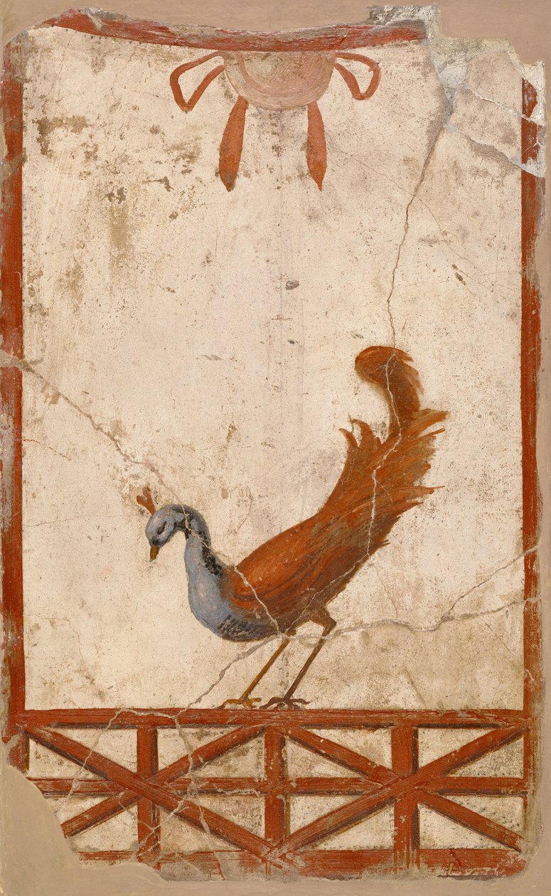 Wall Fragment with a Peacock by Unbekannt Unbekannt