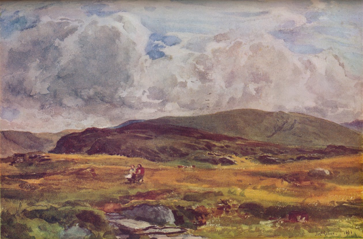 A Path Over the Fields, 1881 by Unbekannt