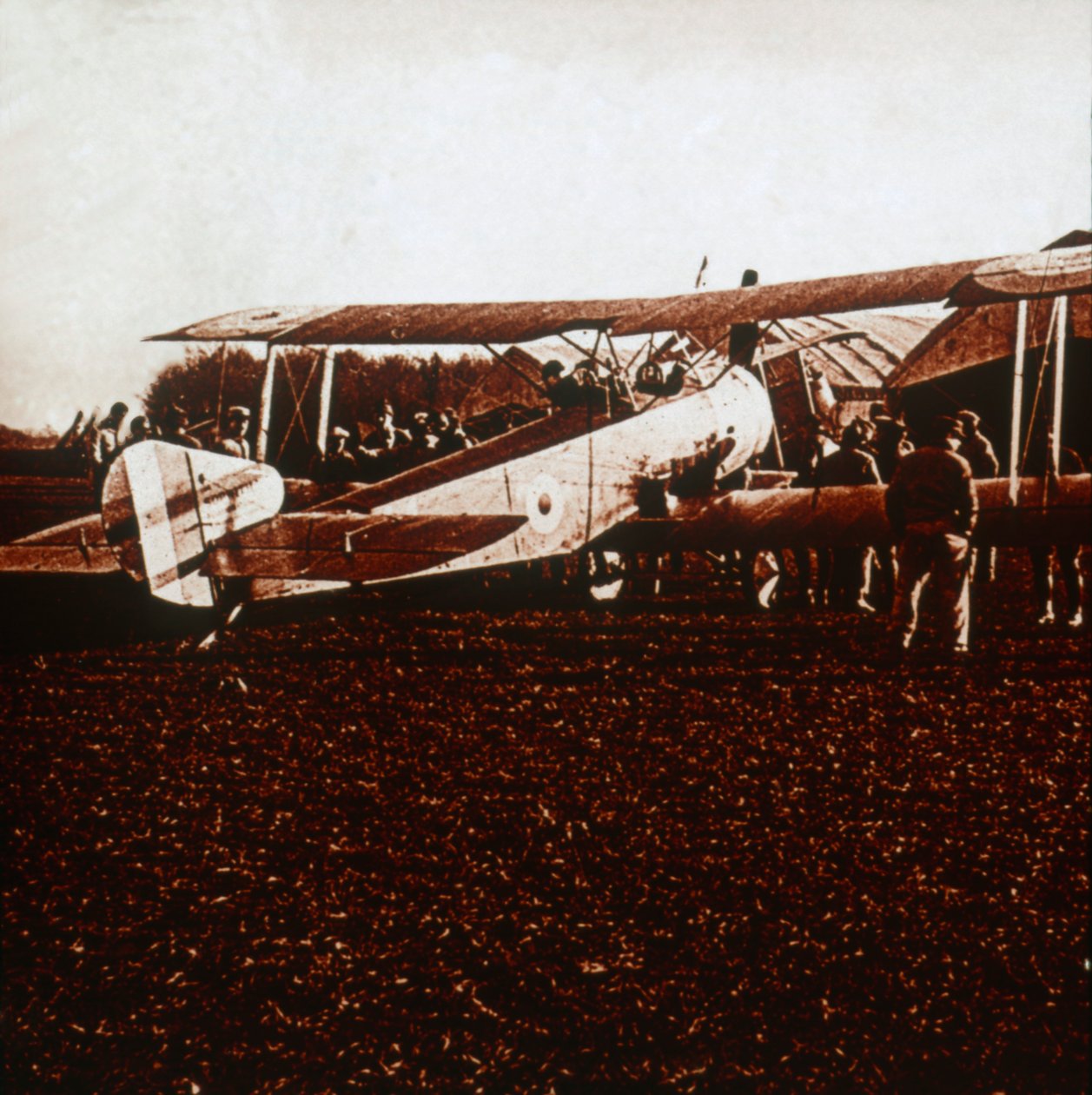 A Sopwith Camel, c. 1917-1918 by Unbekannt
