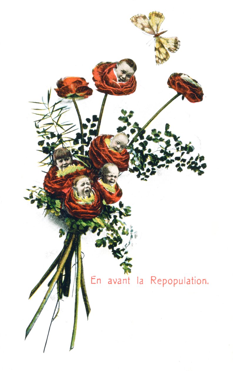 Ahead Repopulation, French Postcard by Unbekannt