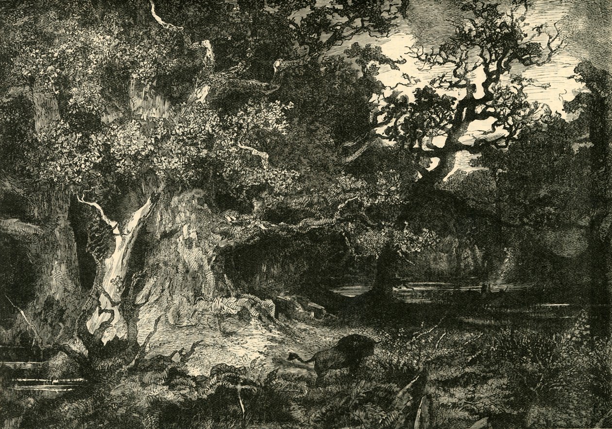An Old German Forest, 1890 by Unbekannt