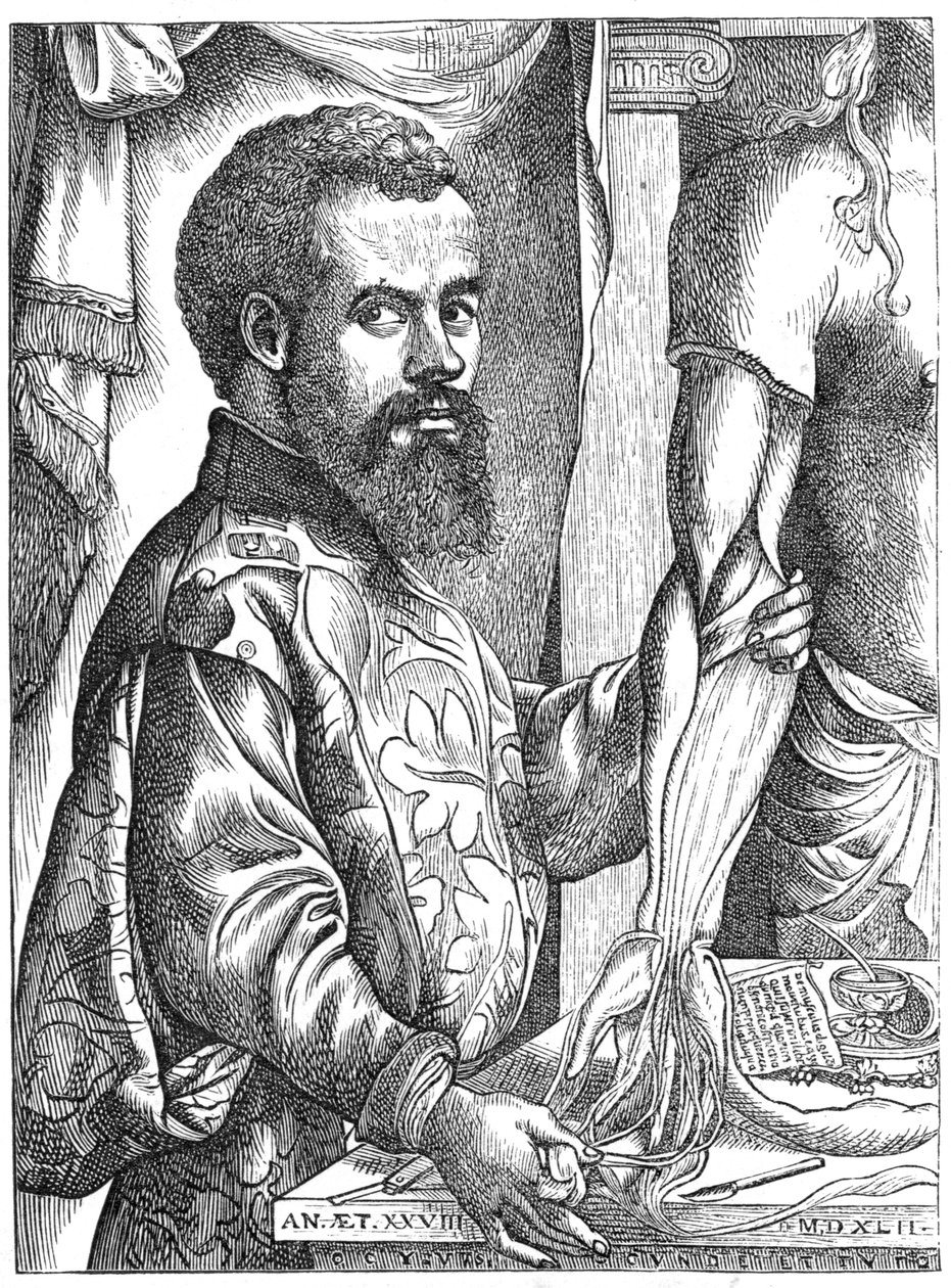 Andreas Vesalius by Unbekannt