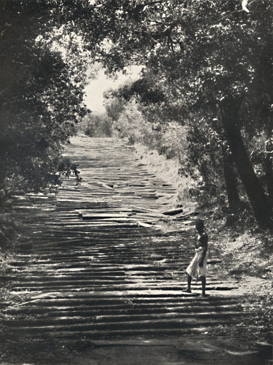 Beginning of the Stone Steps of Mihintale, 1926 by Unbekannt