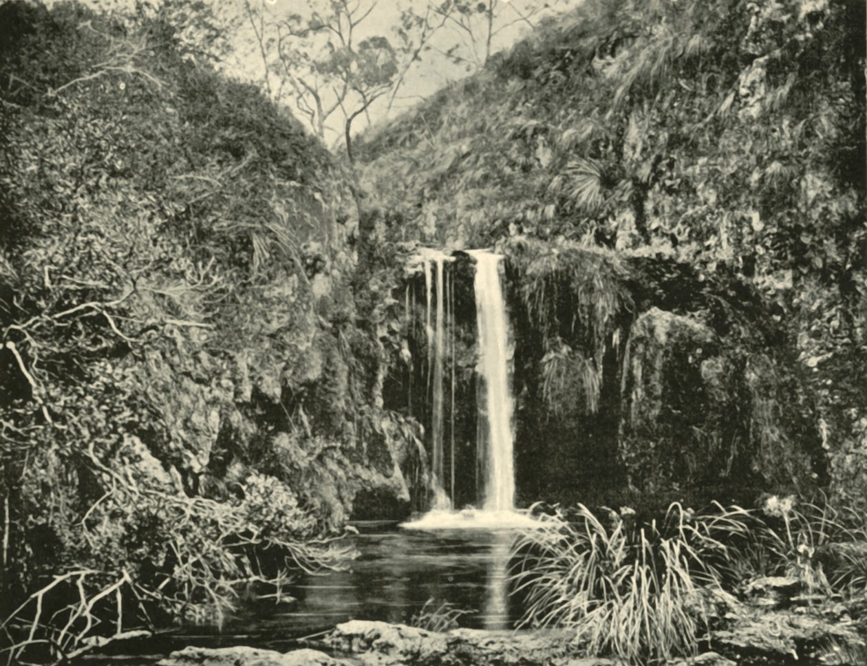 Back Creek Falls, Buchan River, Victoria by Unbekannt