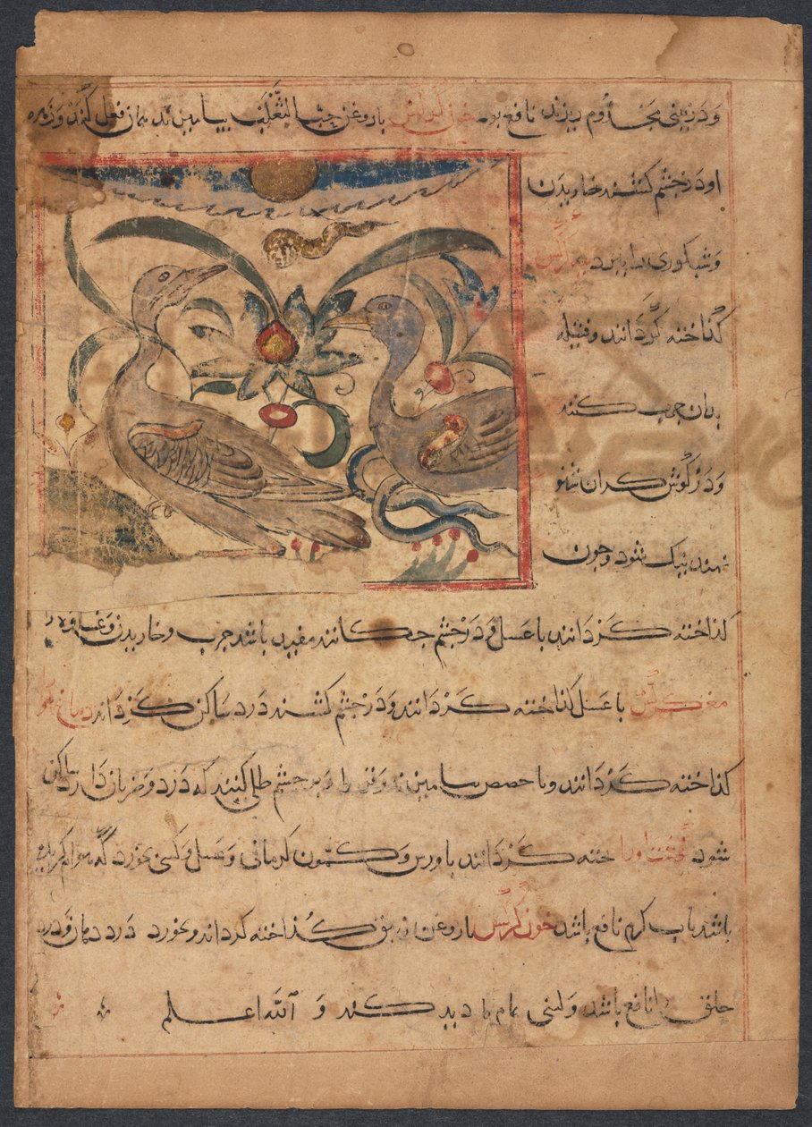 Benefits of the Parts of Vultures...verso by Unbekannt