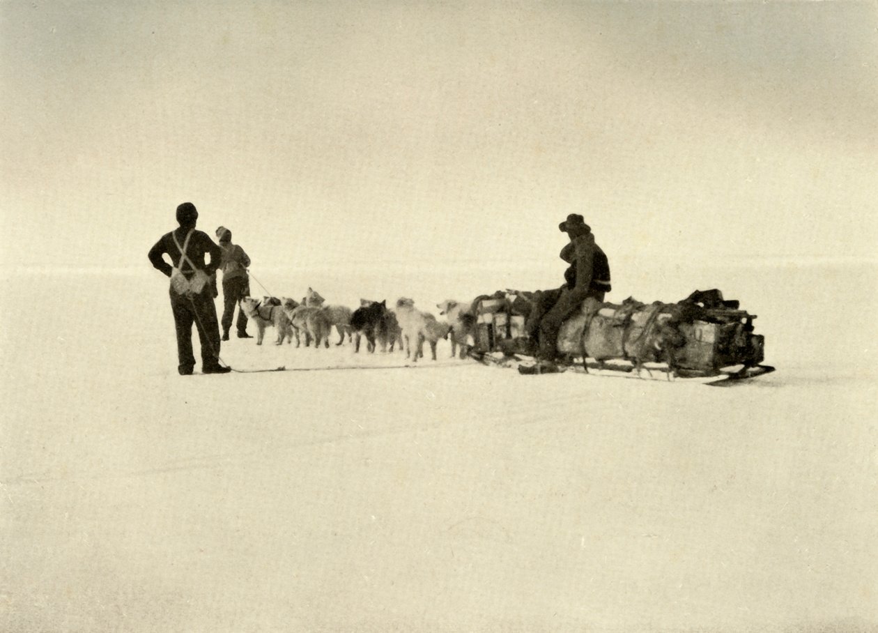 Bluff Depot Party on the Barrier by Unbekannt