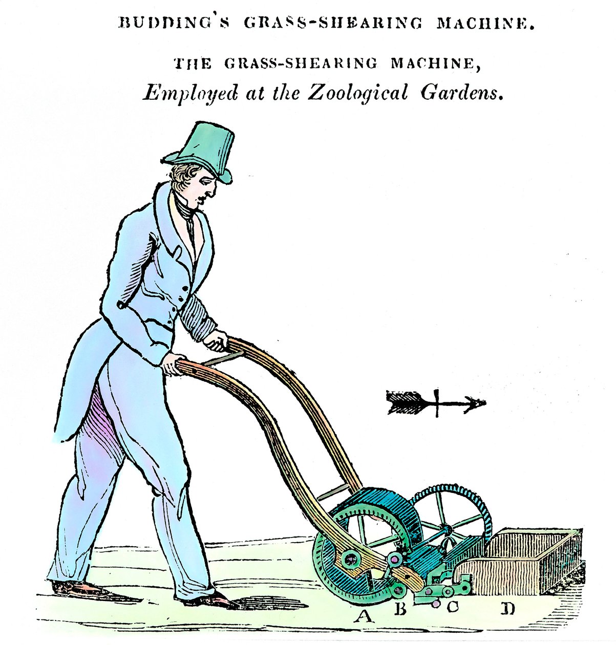 Buddings Grass-shearing Machine by Unbekannt