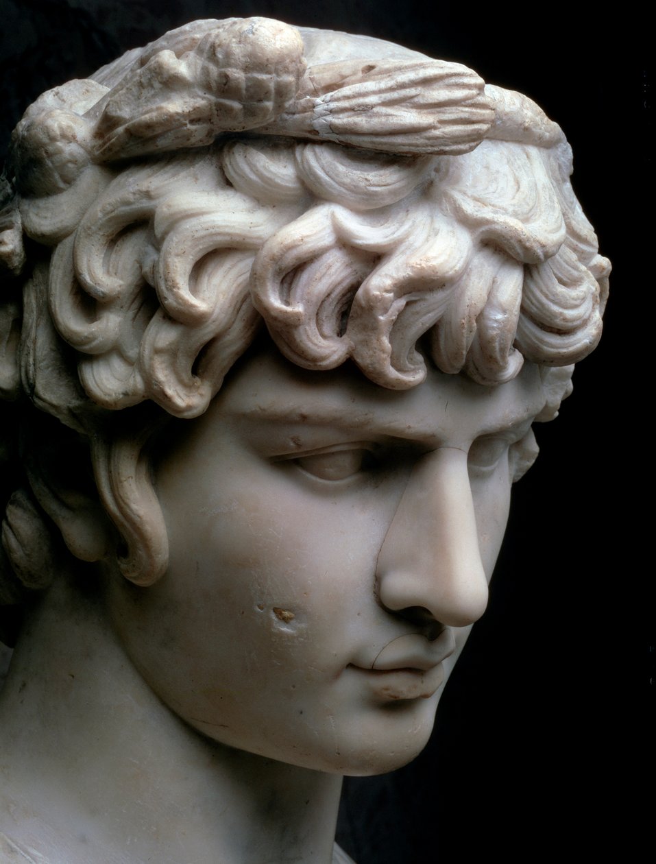 Bust of Antinous by Unbekannt