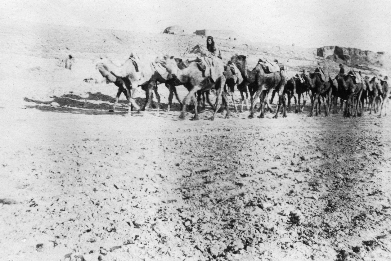Camel Train, Mosul, Mesopotamia by Unbekannt