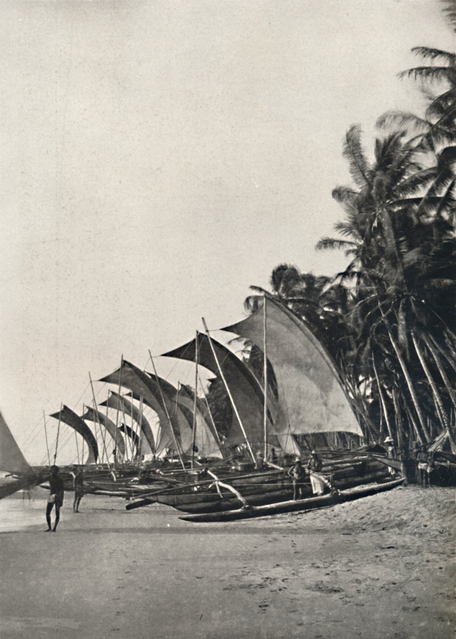 Ceylonese Fishing Boats with Outriggers by Unbekannt