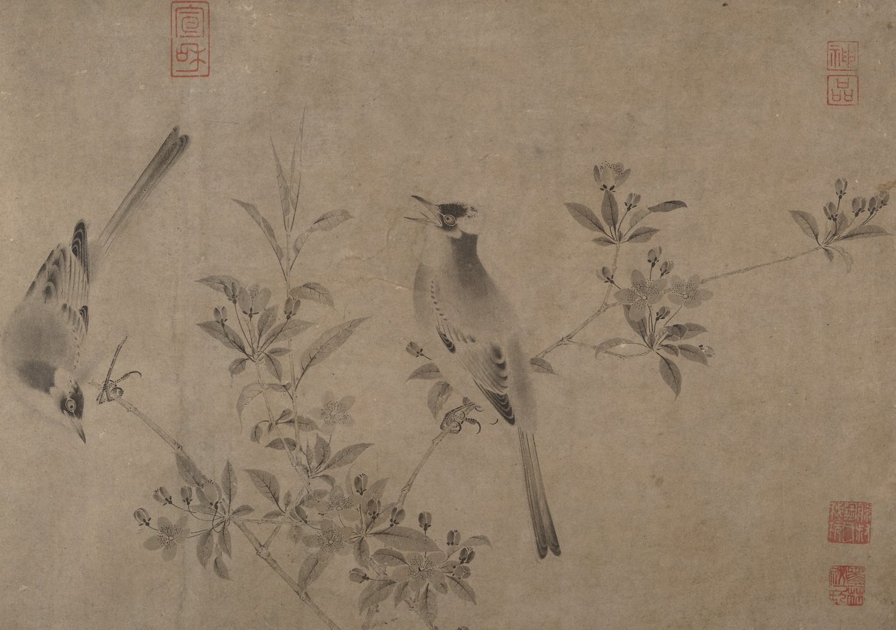 Chinese Bulbuls on Flowering Cherry-Apple by Unbekannt