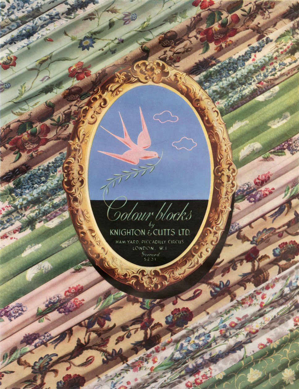Colour Blocks by Knighton & Cutts Ltd by Unbekannt