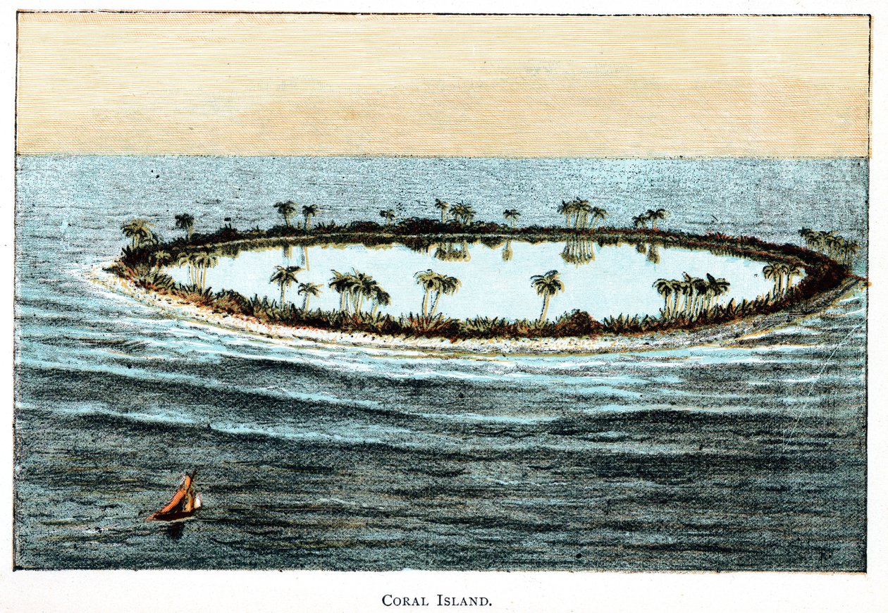 Coral Reef Surrounding a Lagoon by Unbekannt