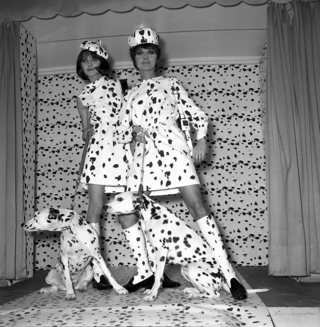 Dalmatian Mode by Unbekannt