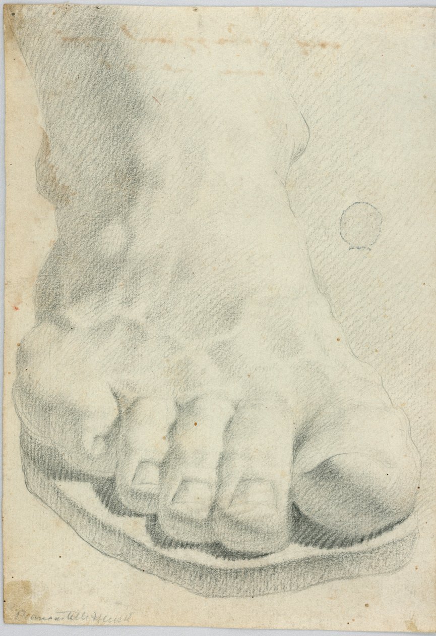 Drawing by Unbekannt