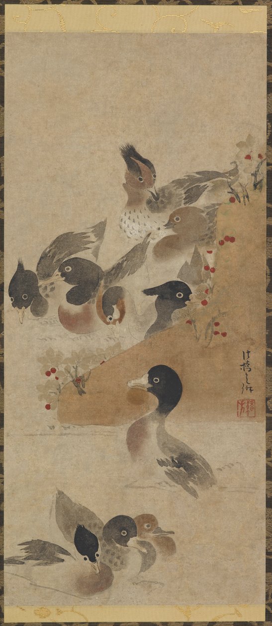 Ducks by Unbekannt