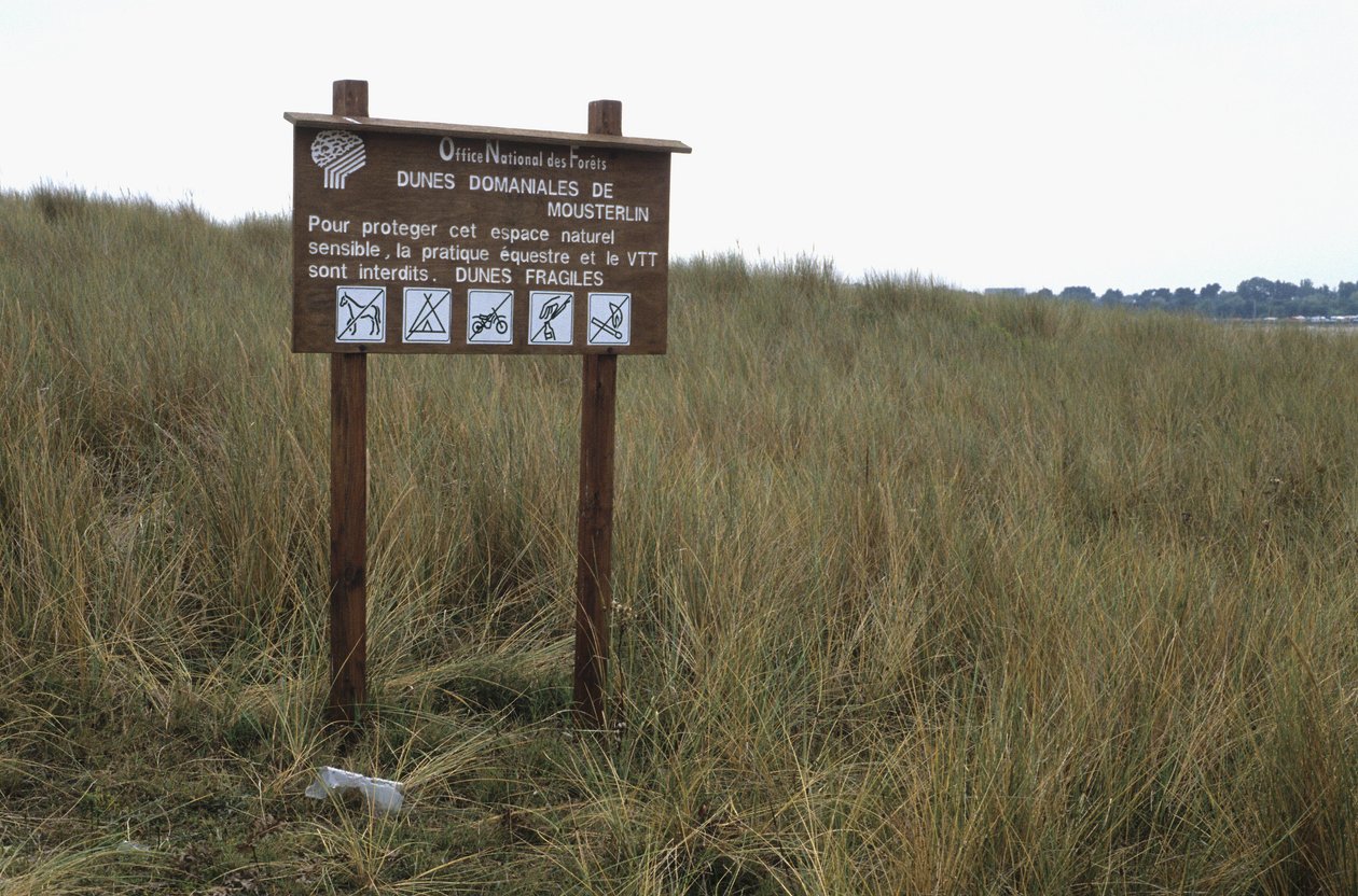 Dune Protection Panel by Unbekannt