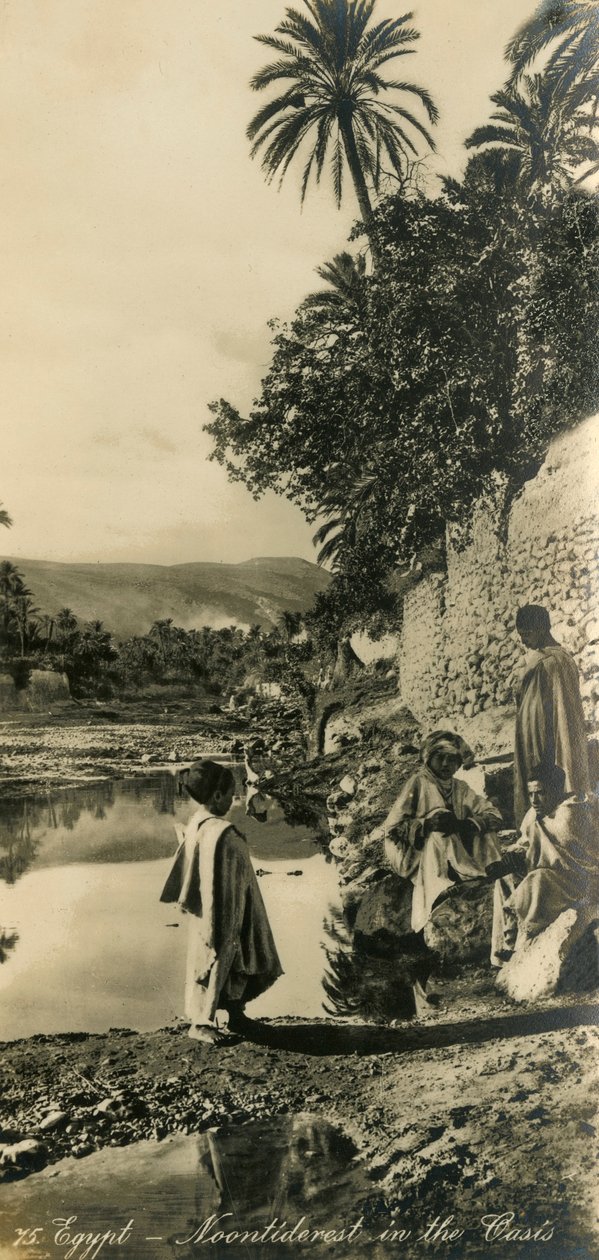 Egypt - Noontide Rest in the Oasis, c1918-c1939 by Unbekannt