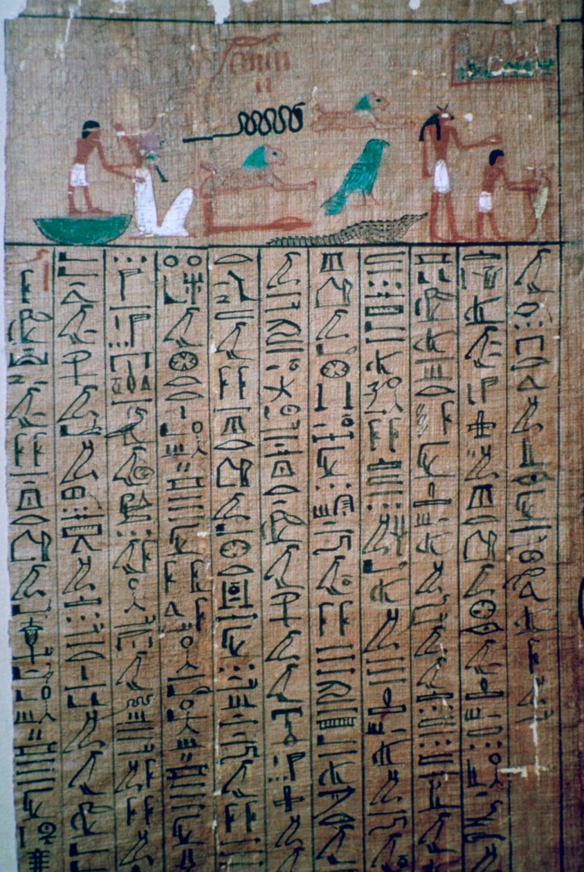Egyptian Hieroglyphs from a Book of the Dead by Unbekannt