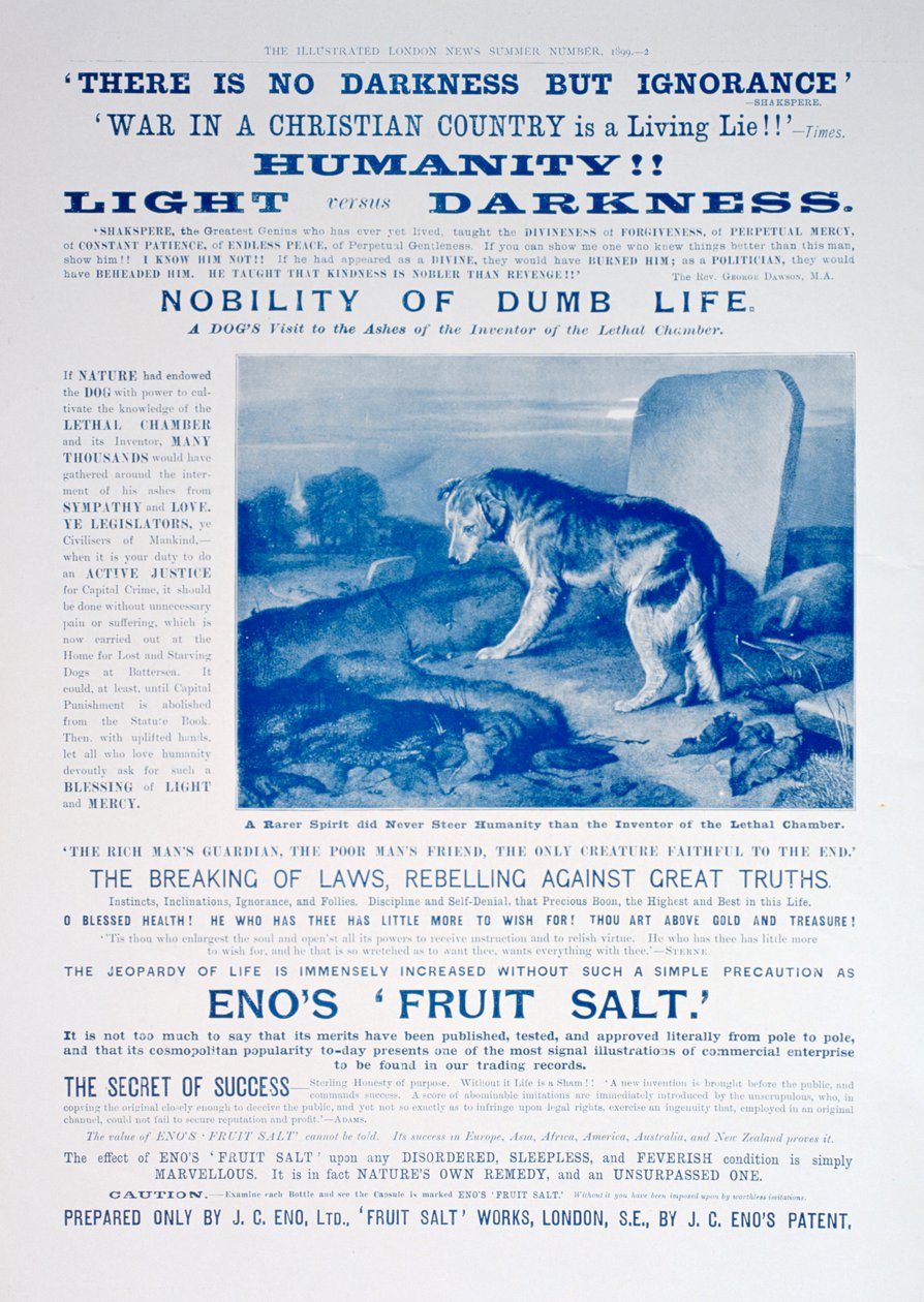 Enos Fruit Salt Advertisement, 1899 by Unbekannt