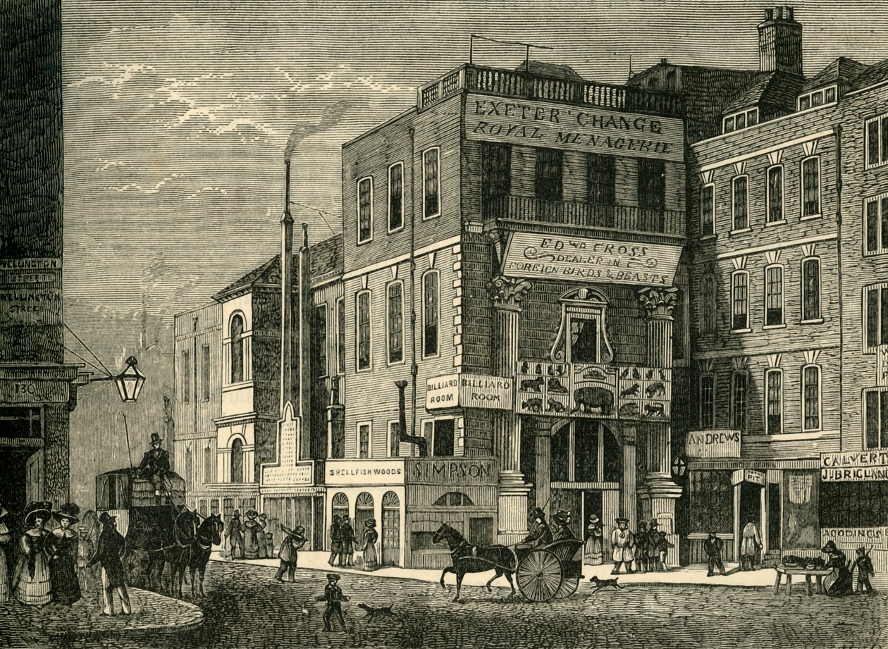 Exeter Change in 1826 by Unbekannt