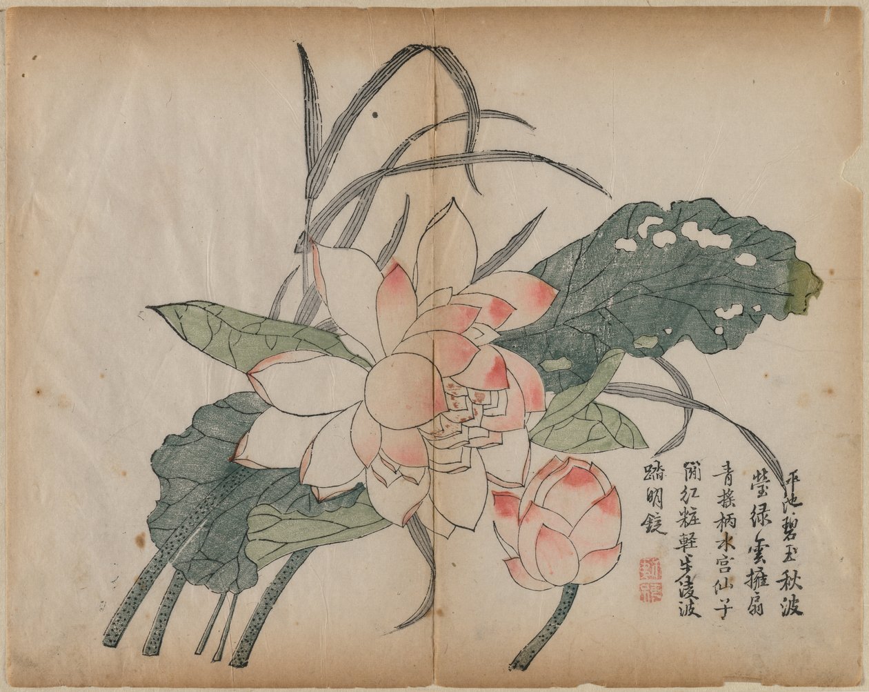 Flowering Lotus and Bud, 18th Century by Unbekannt