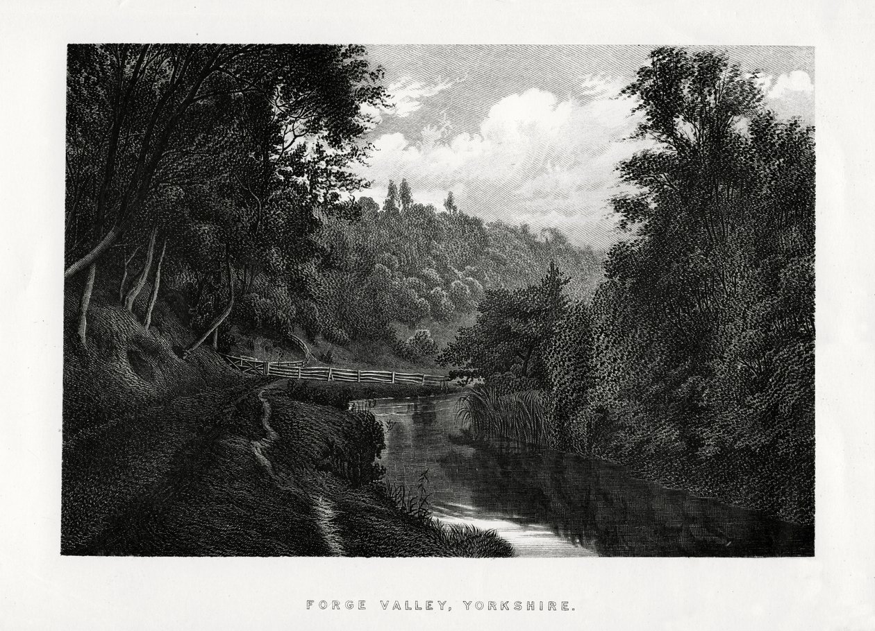 Forge Valley, Yorkshire by Unbekannt