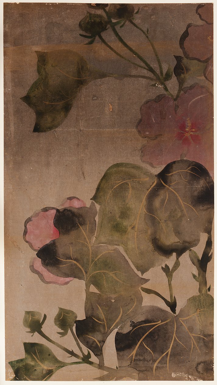 Hibiscus Flowers and Leaves by Unbekannt