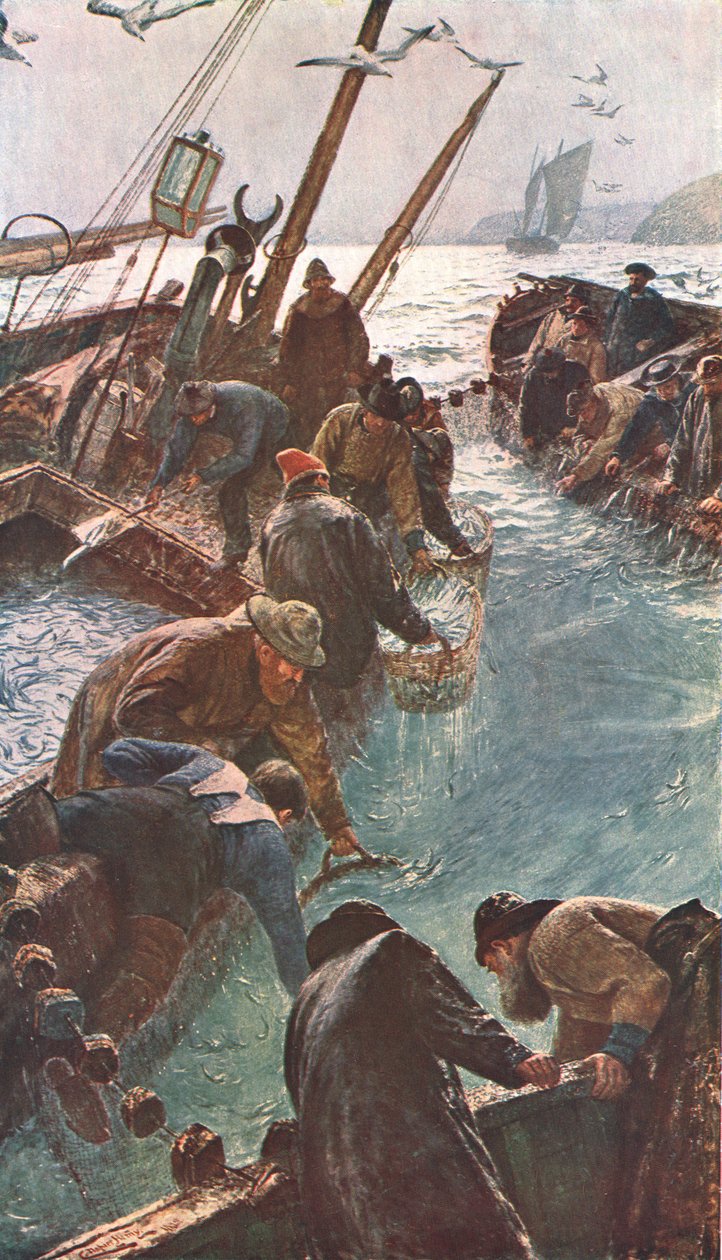 How We Caught the Pilchards by Unbekannt
