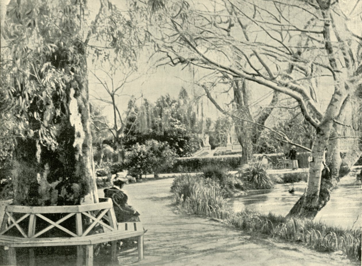 In the Botanic Gardens, Adelaide by Unbekannt