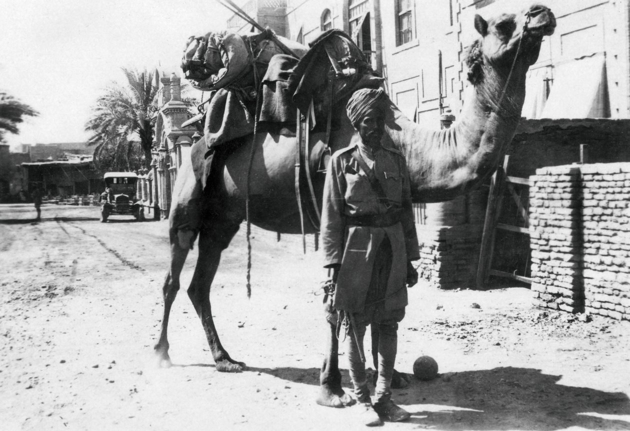 Indian camel trooper, Baghdad by Unbekannt