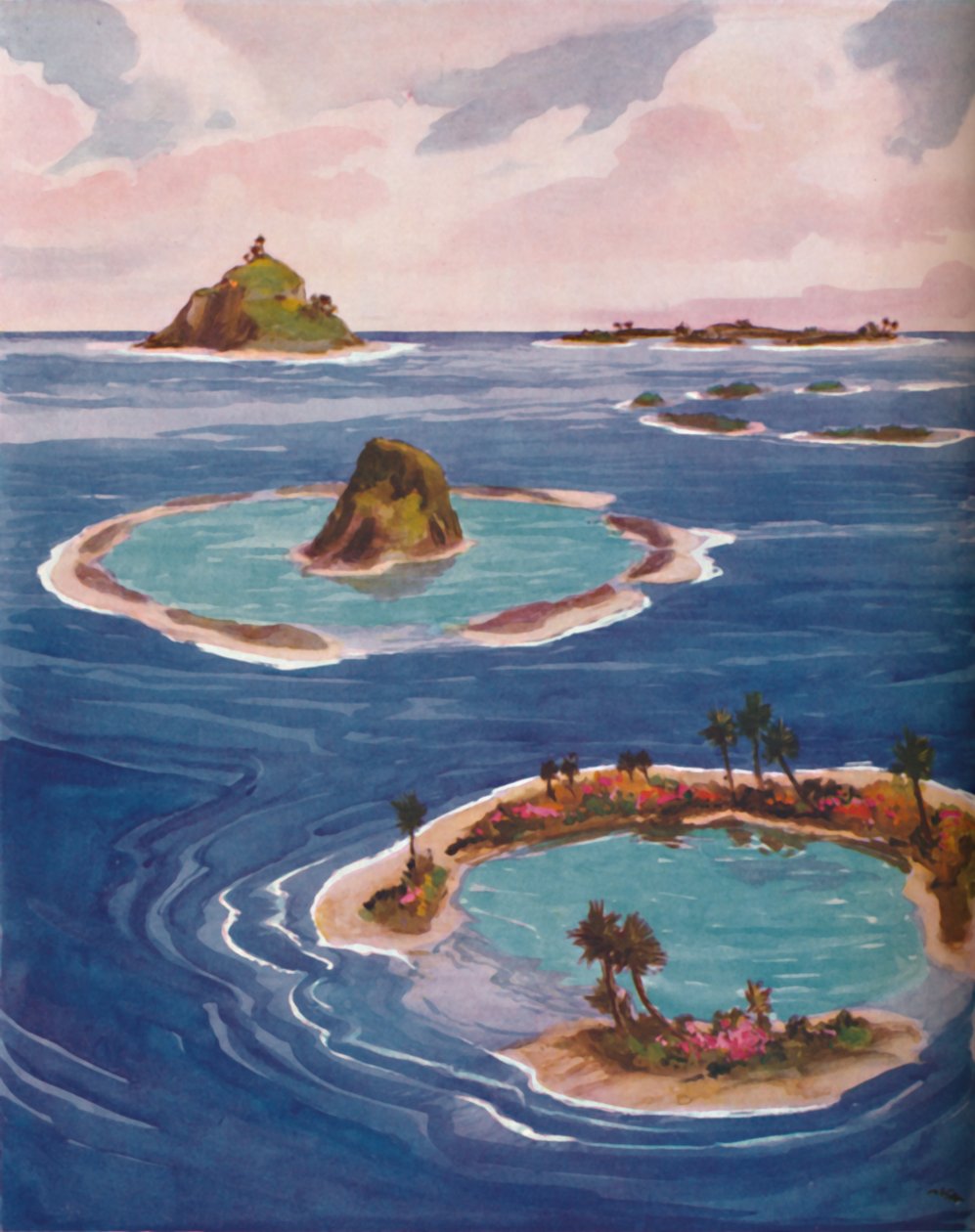 Islands Formed By Tiny Marine Creatures by Unbekannt