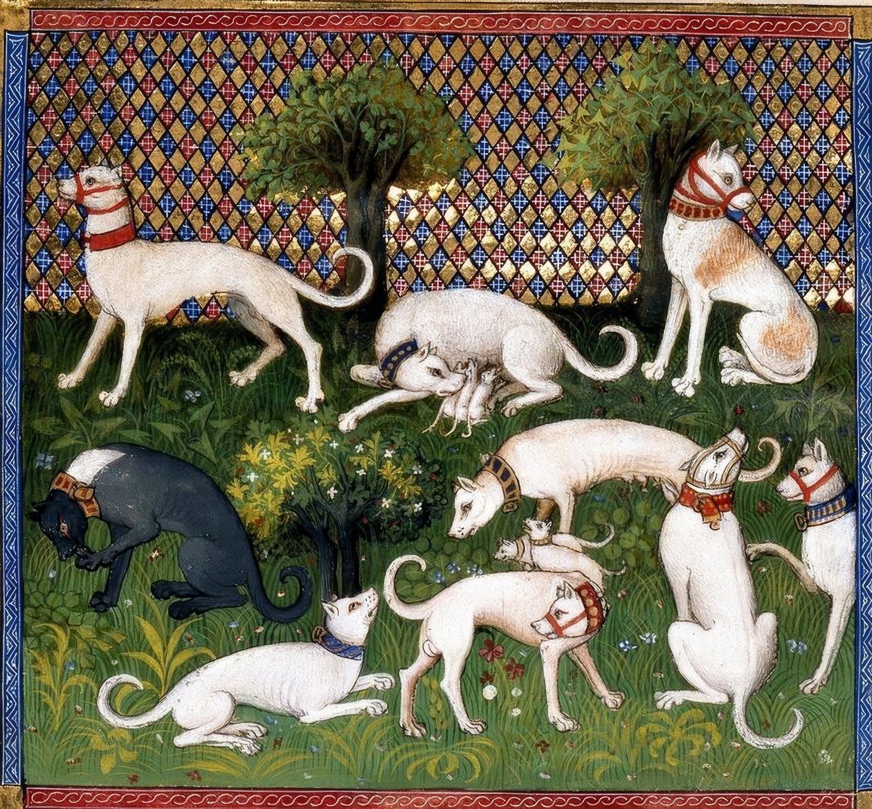 Hunting Dogs (Alan) / Book of the Hunt by Unbekannt