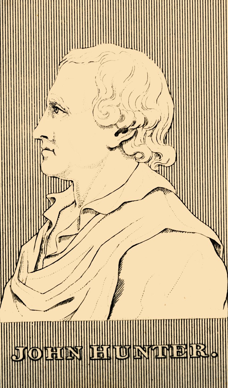 John Hunter by Unbekannt