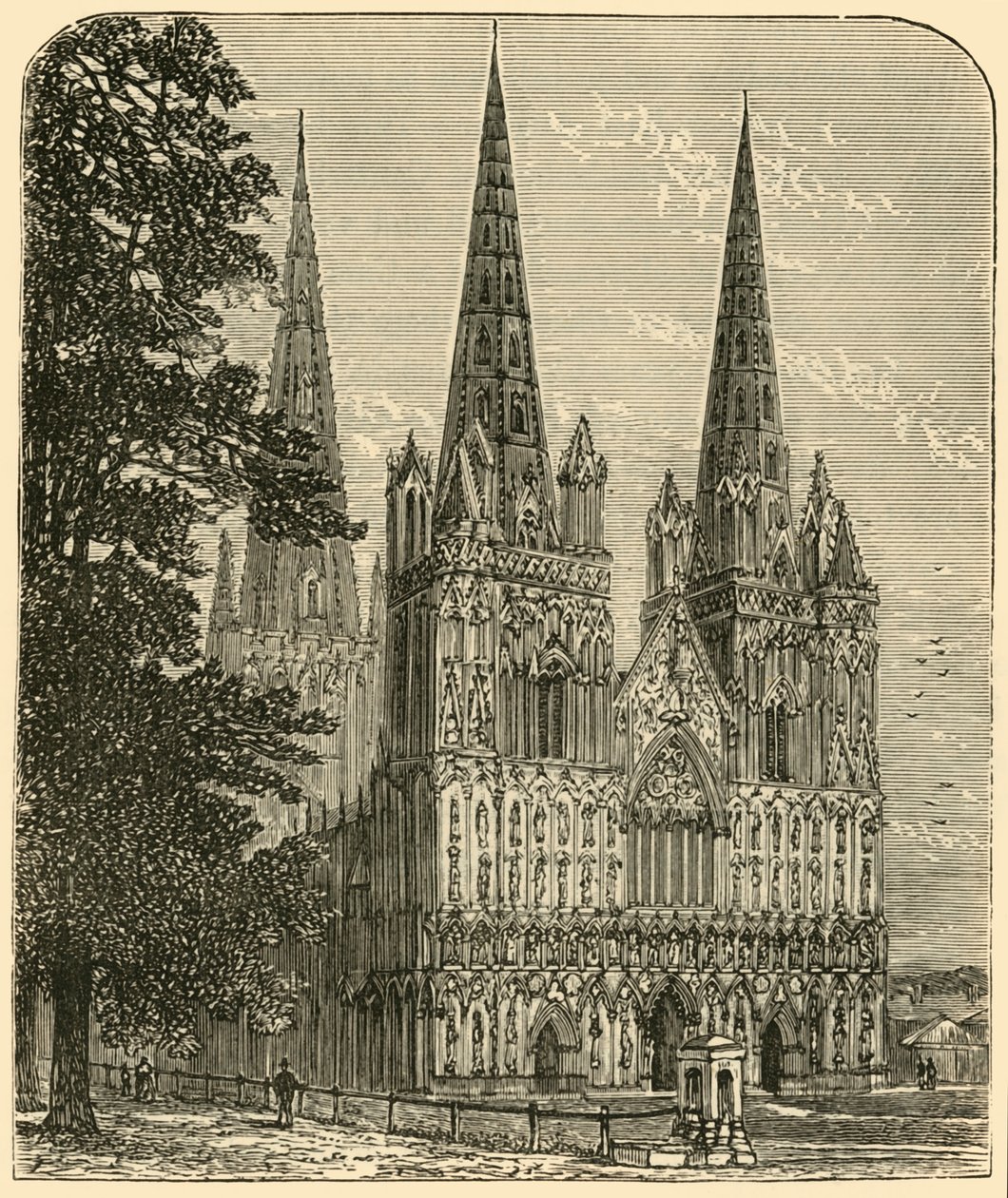 Lichfield Cathedral - The West Front by Unbekannt