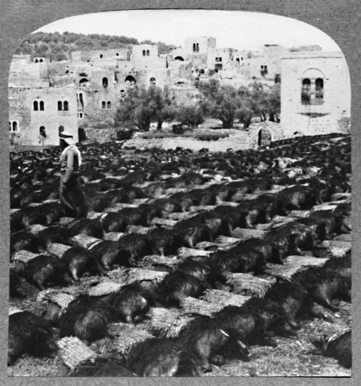 Making Wine Bottles, Hebron by Unbekannt