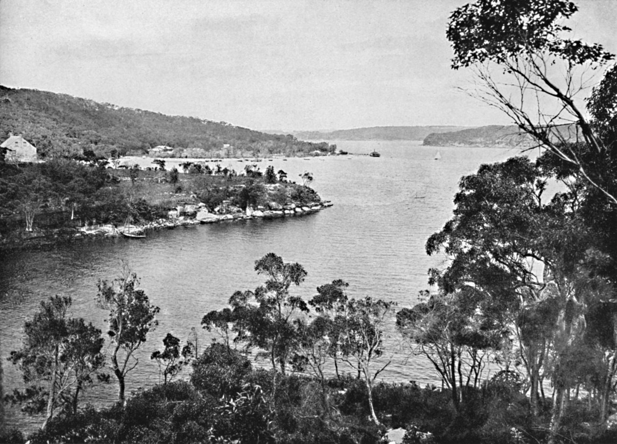 Middle Harbour, from Spit Road by Unbekannt
