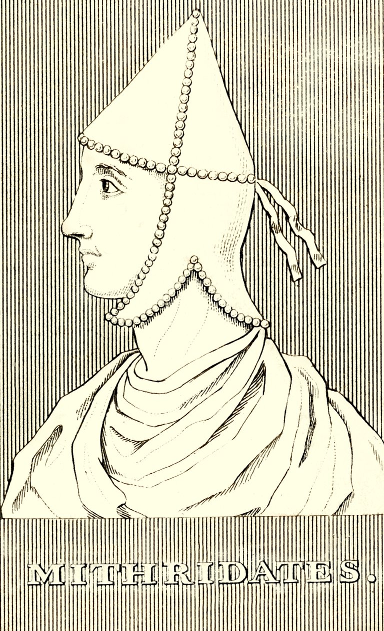 Mithridates by Unbekannt