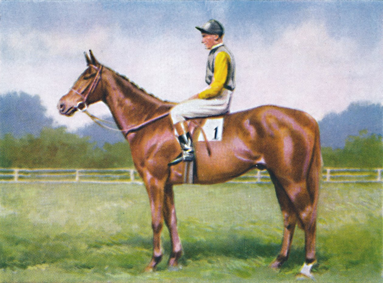 Morse Code, Jockey: D. Morgan by Unbekannt