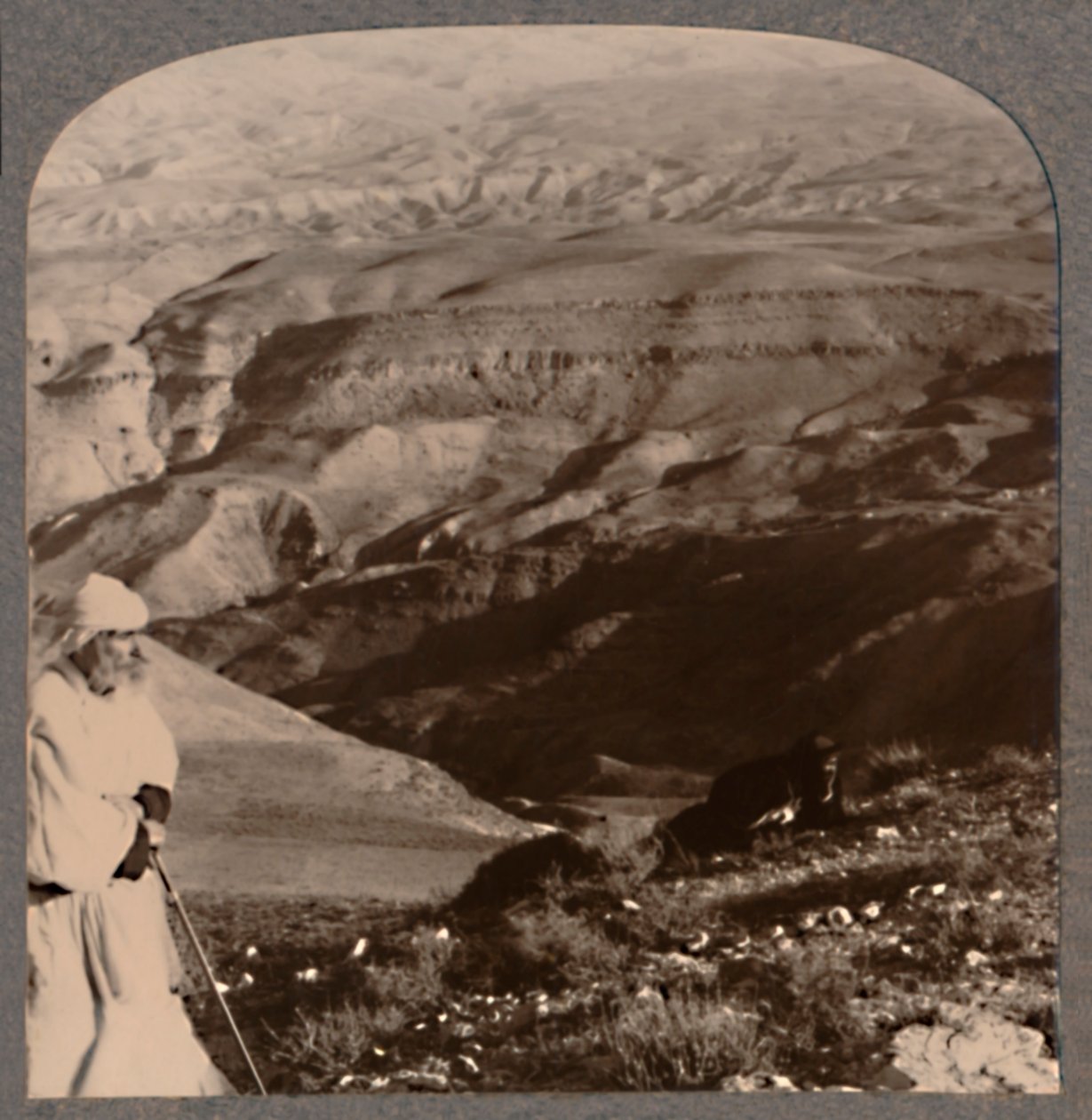 Moses view of the Promised Land by Unbekannt