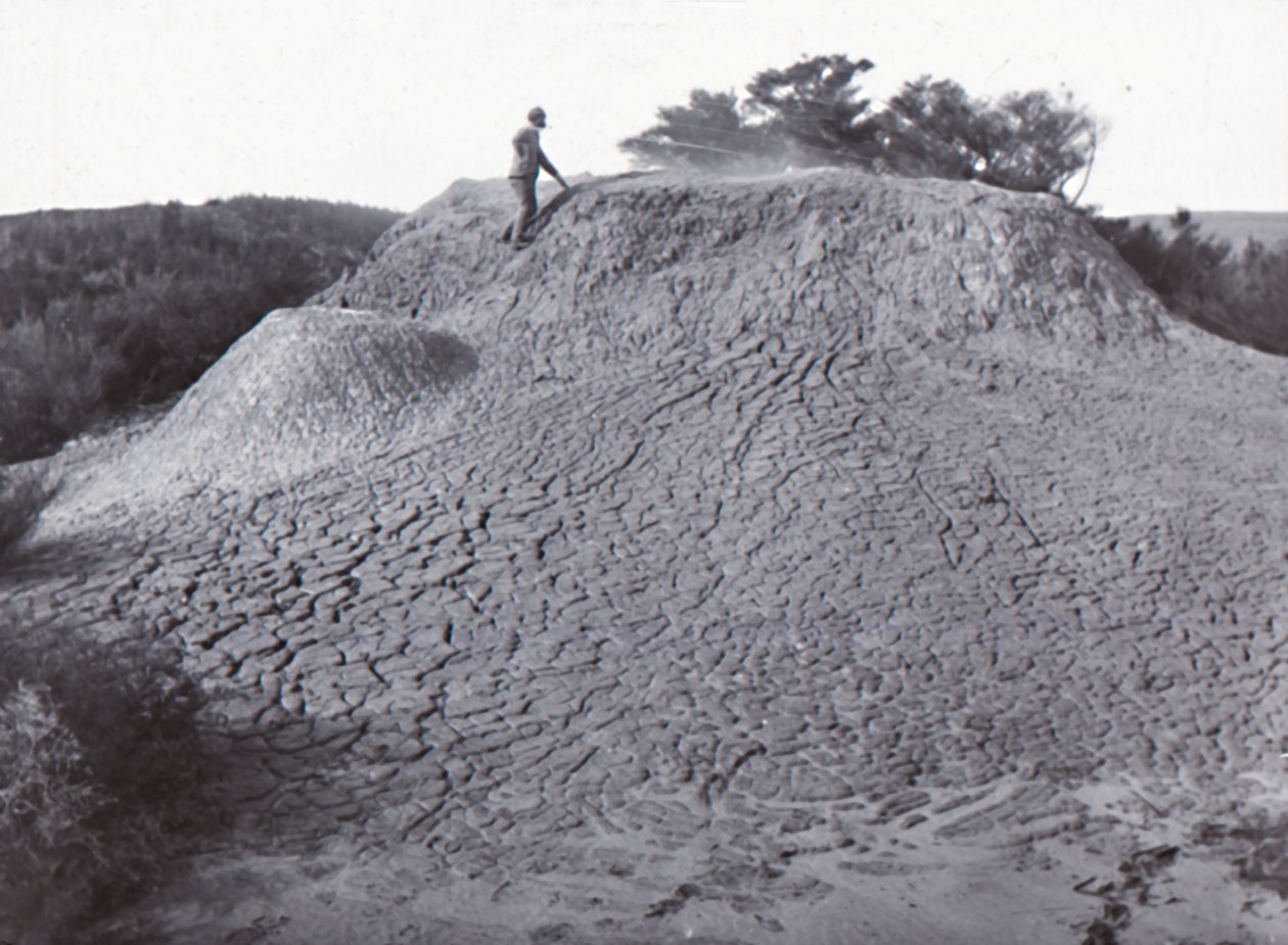 Mud Volcano Waiotapu by Unbekannt