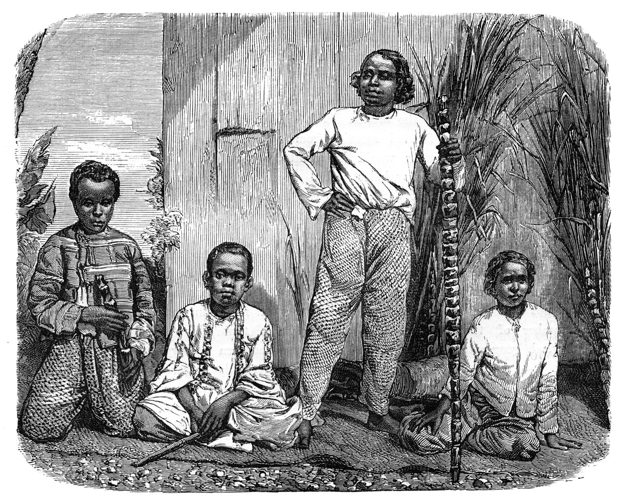 Natives of the island of Reunion, c1890 by Unbekannt