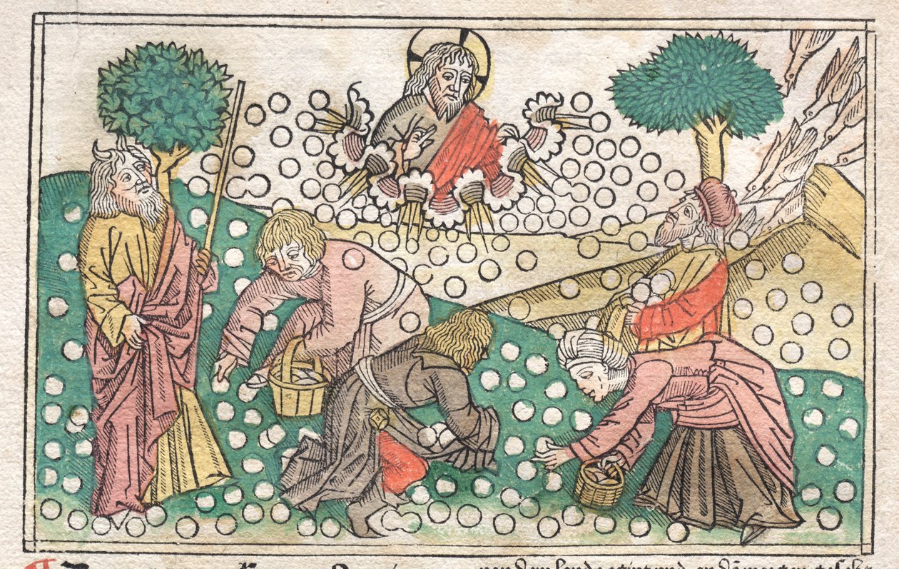 Nuremberg Bible: Manna Falling from Heaven by Unbekannt