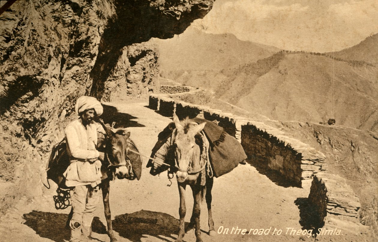 On the Road to Theog, Simla by Unbekannt