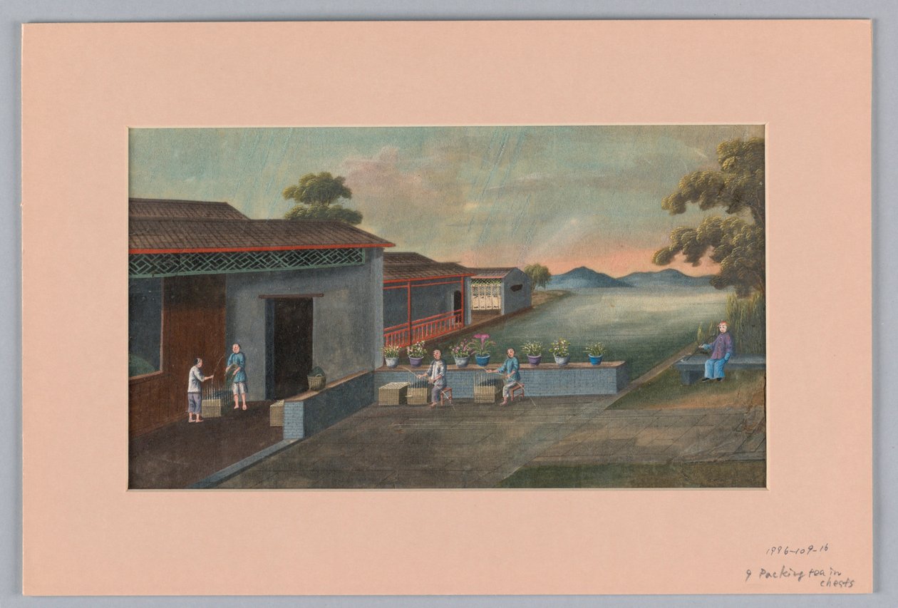 Packing Tea in Chests, 1890–1910 by Unbekannt