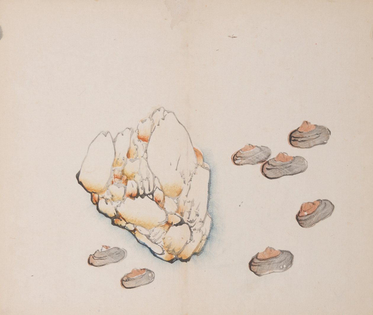 Page from Shi Zhu Zhai by Unbekannt