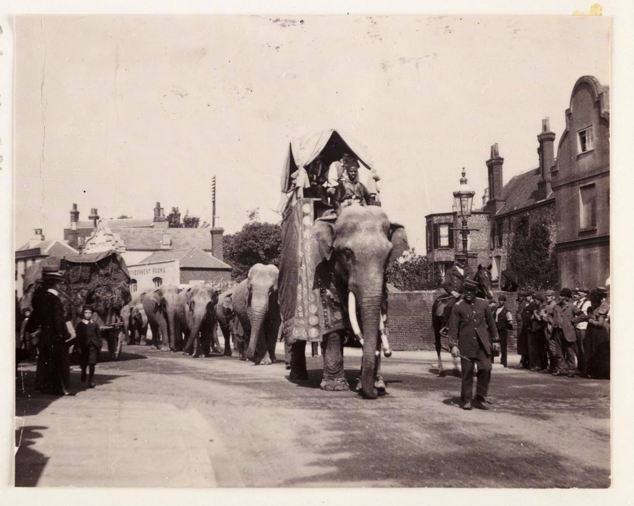 Parade of elephants, c 1905 by Unbekannt