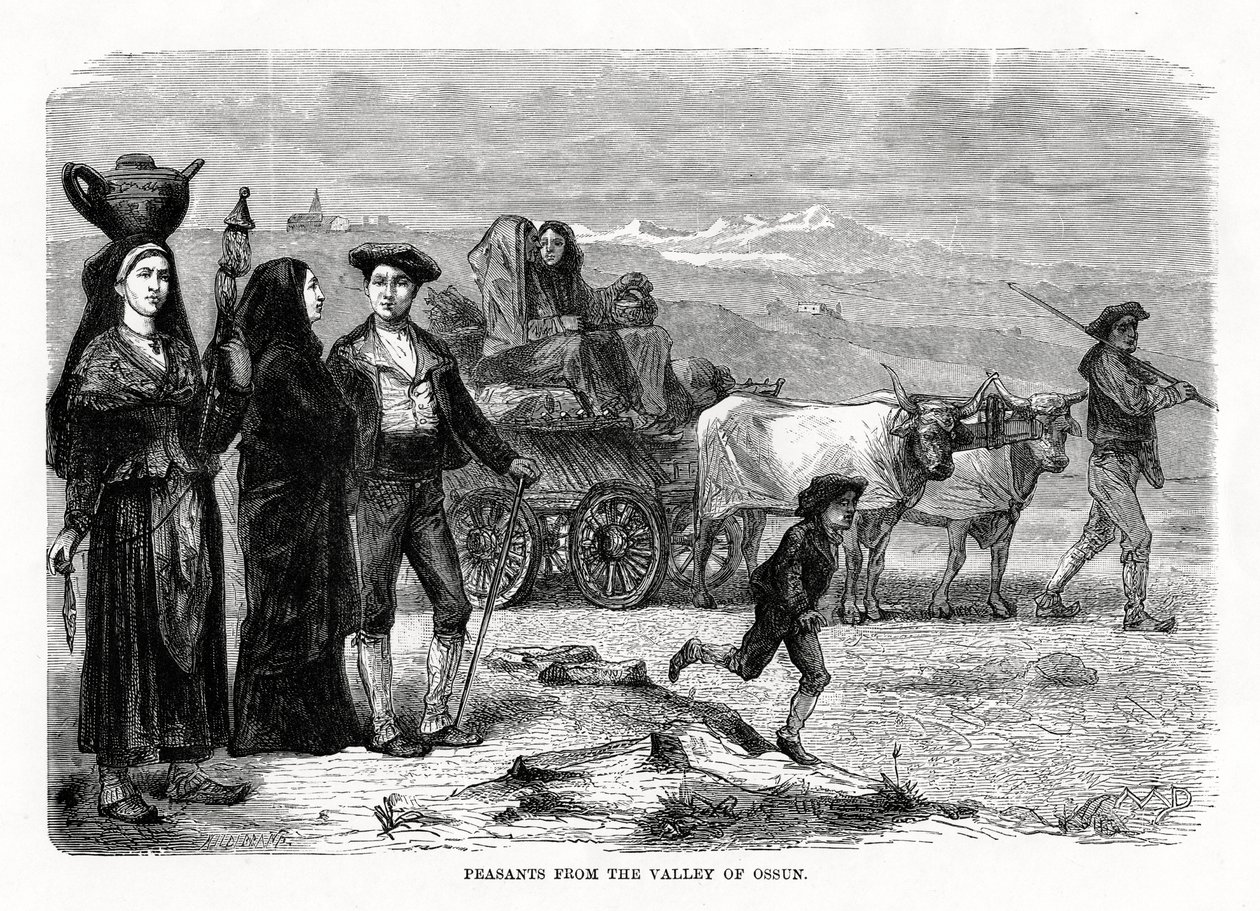 Peasants from the Valley of Ossun, France by Unbekannt